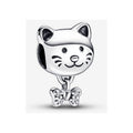 Gato Mascota y Moño