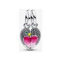 Charm Divisible Pajaritos del Amor