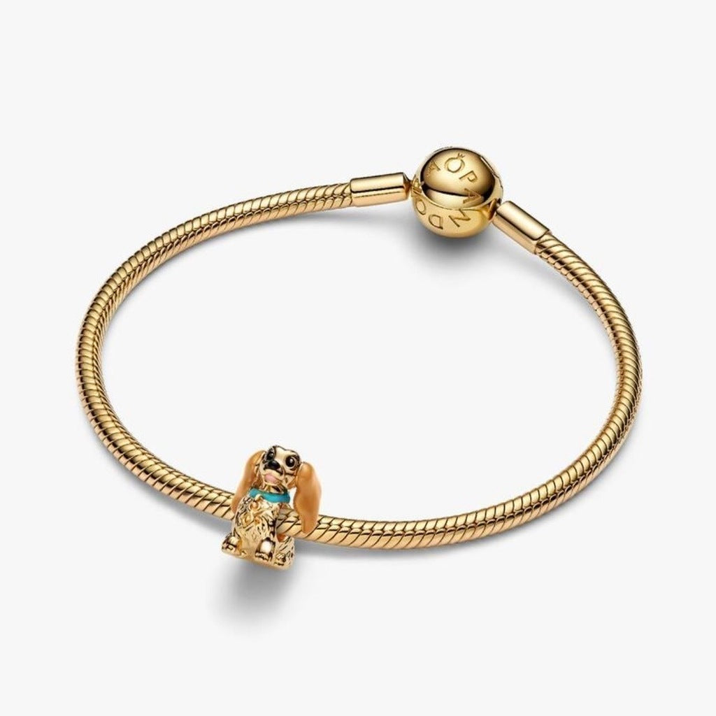 Daysi de la dama y el vagabundo